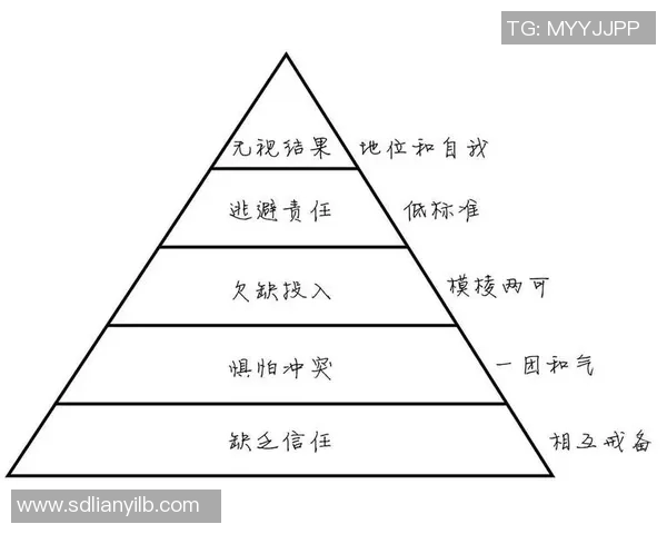 探索上海篮球队节奏体系中的战术创新与团队协作策略